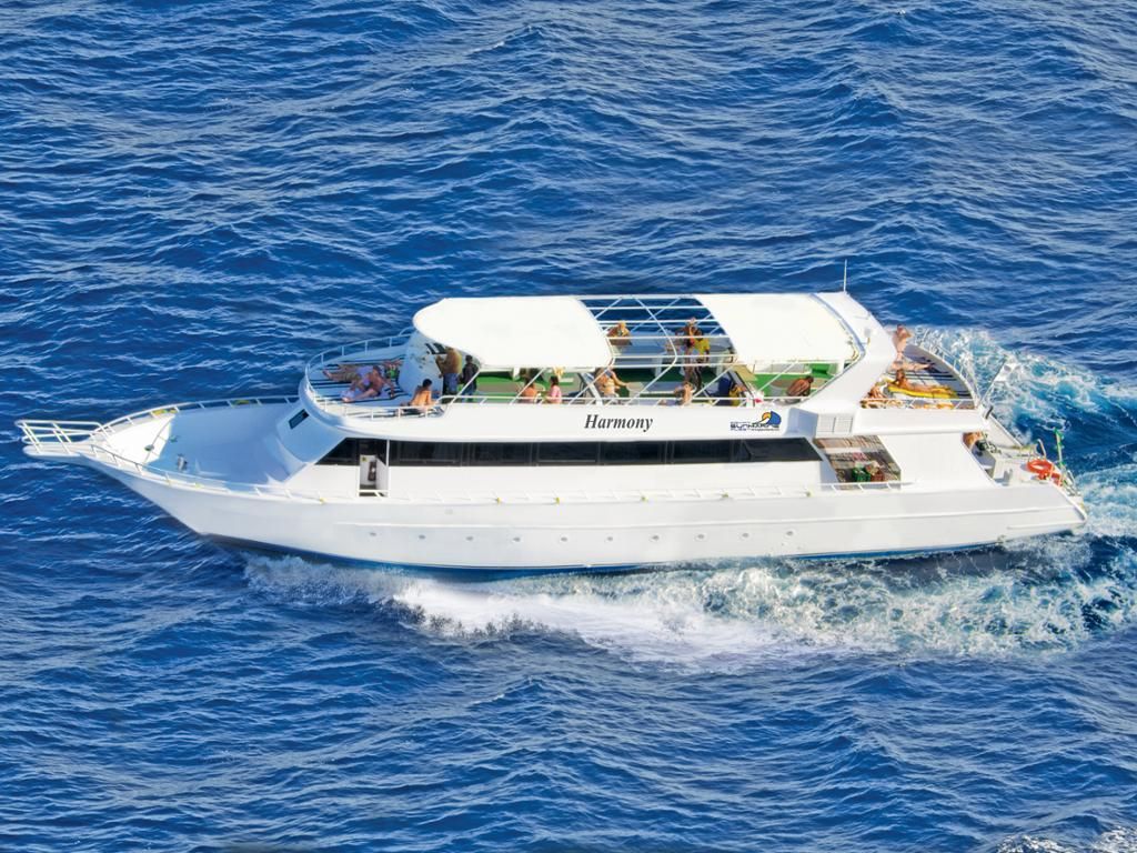 Snorkelling in the Red Sea - Cruise
