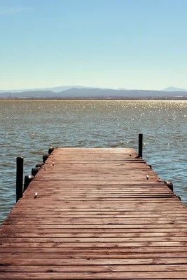Parque Natural Albufera De Valencia