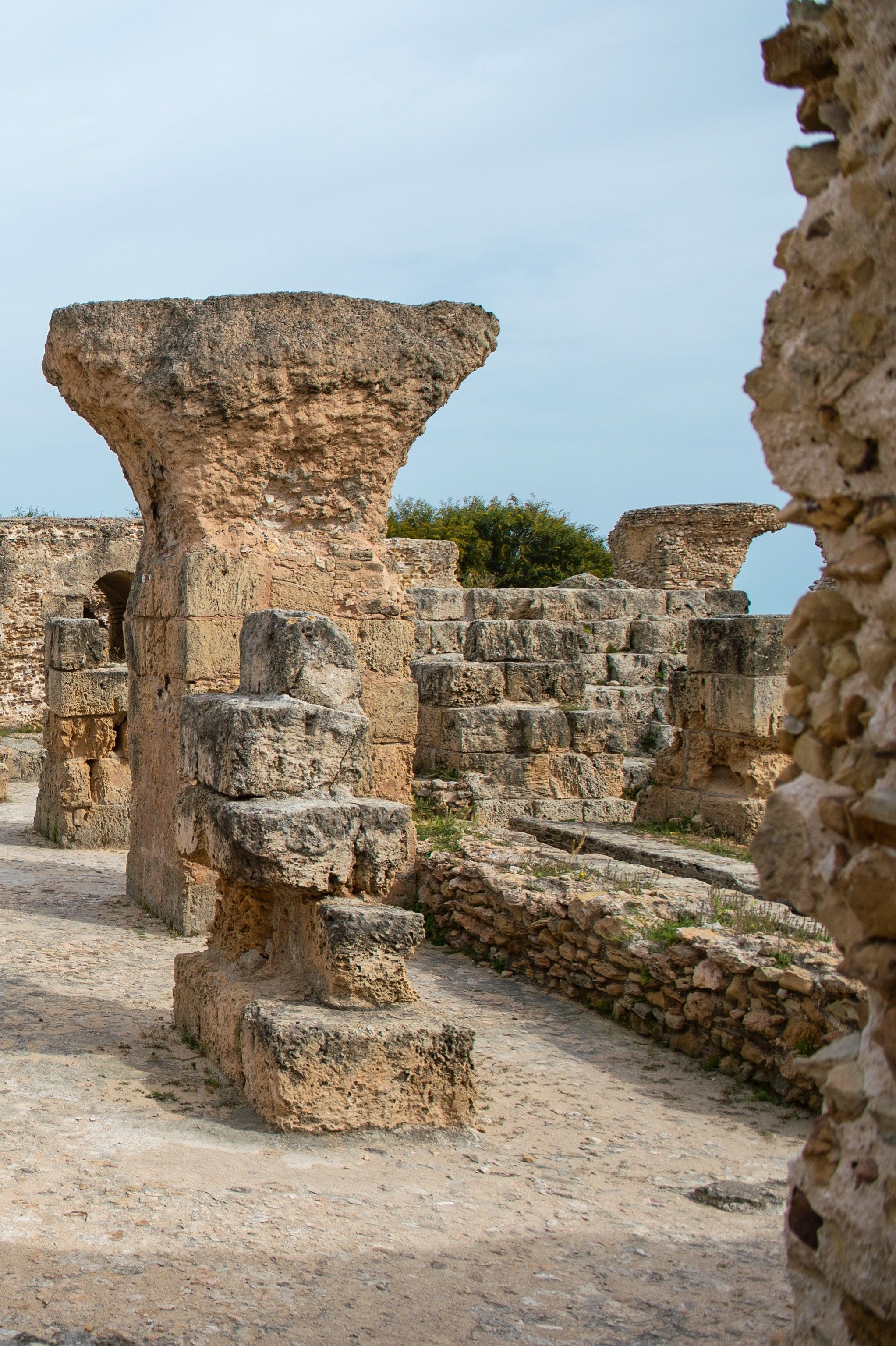 Túnez Cartago y Sidi Bousaid Hammamet