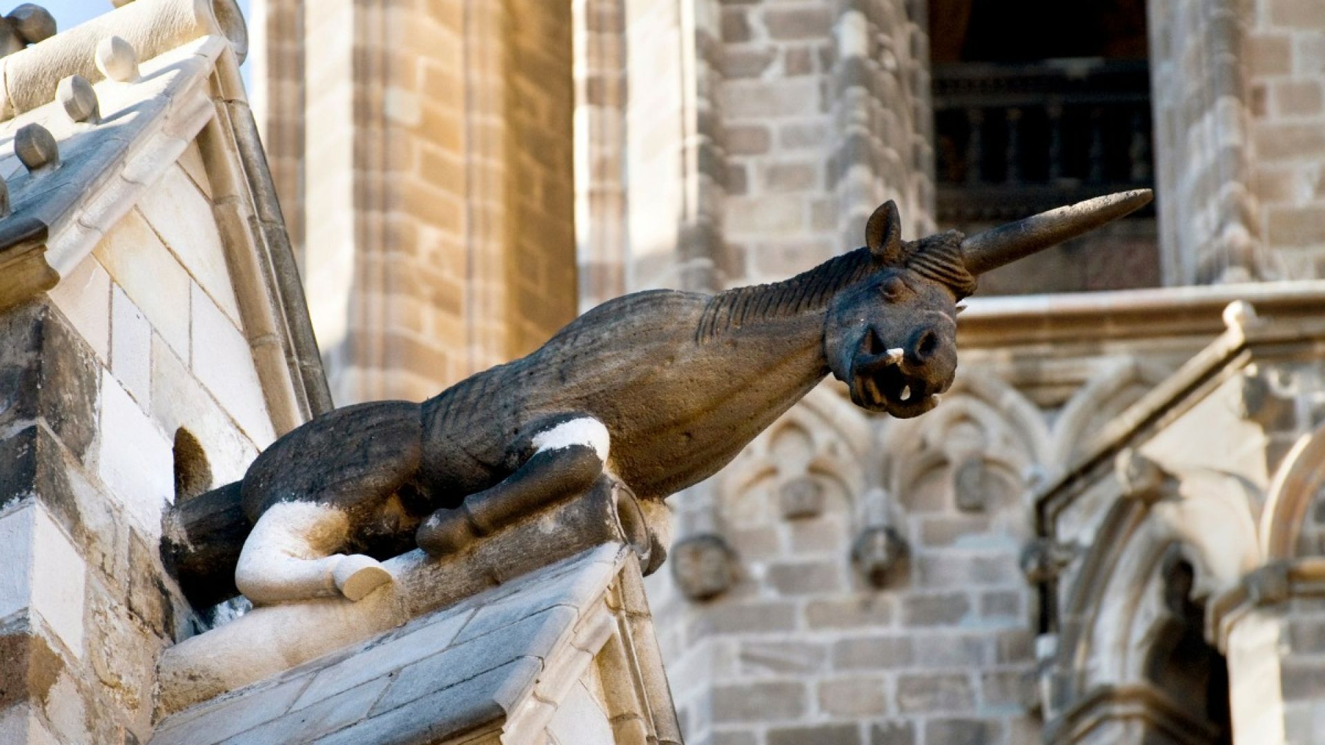 Tour de los misterios y leyendas de Barcelona