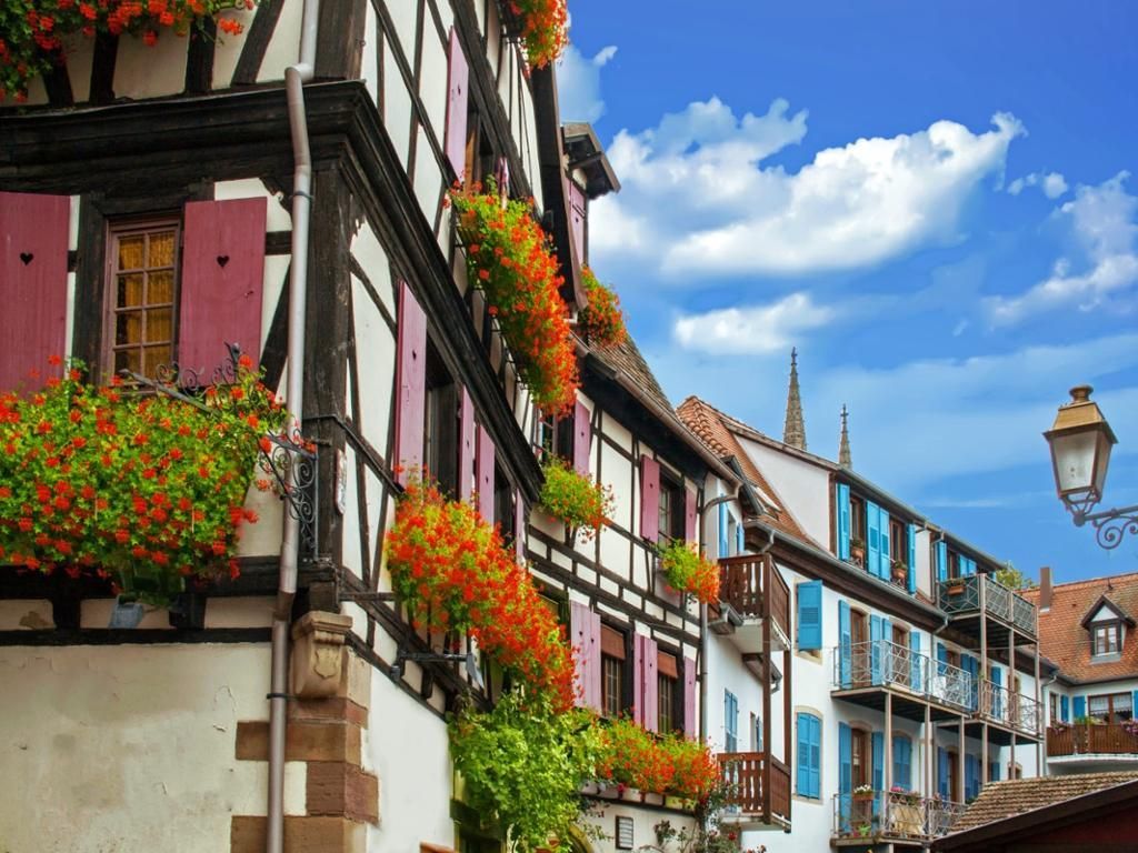 Excursion d'une demi-journée en Alsace - De Strasbourg