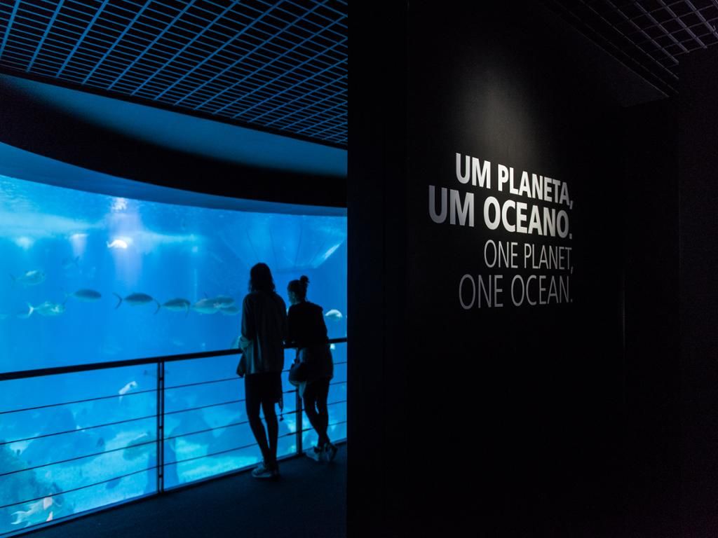 Oceanario de Lisboa - Entrada